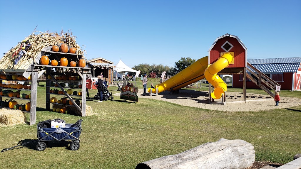 Kraay Family Farm, Home of the Lacombe Corn Maze, inc. | Site 6 Box 9 RR 1, Lacombe, AB T4L 2N1, Canada | Phone: (403) 302-1709