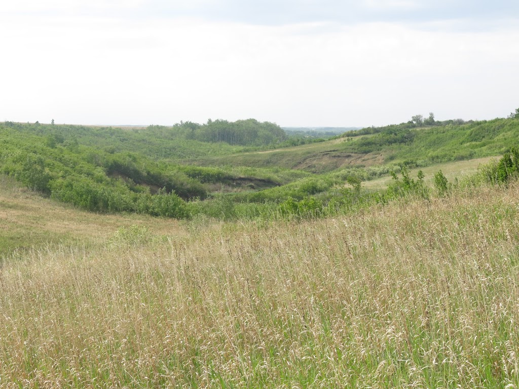 Touronds Coulee | Unnamed Road, 0E0, Alvena, SK S0K 0E0, Canada