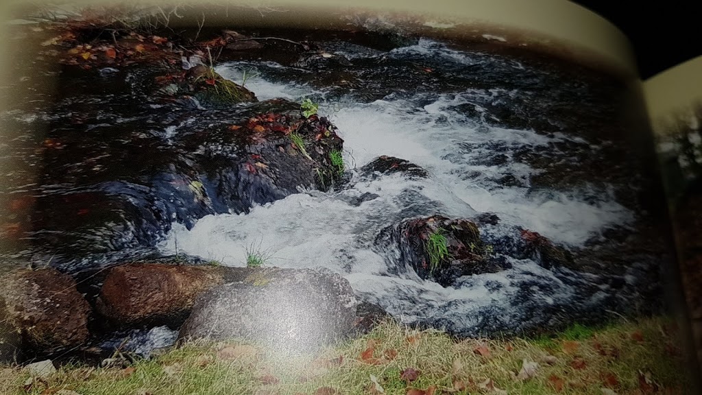 De Besten Rainbow Trout Farm | 244 Concession Rd 11, Langton, ON N0E 1G0, Canada | Phone: (519) 875-2782