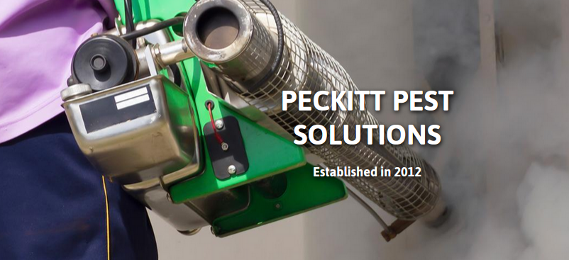 Peckitt Pest Solutions | 18 Crestbrook Dr SW, Calgary, AB T3B 6G3, Canada | Phone: (403) 815-8930