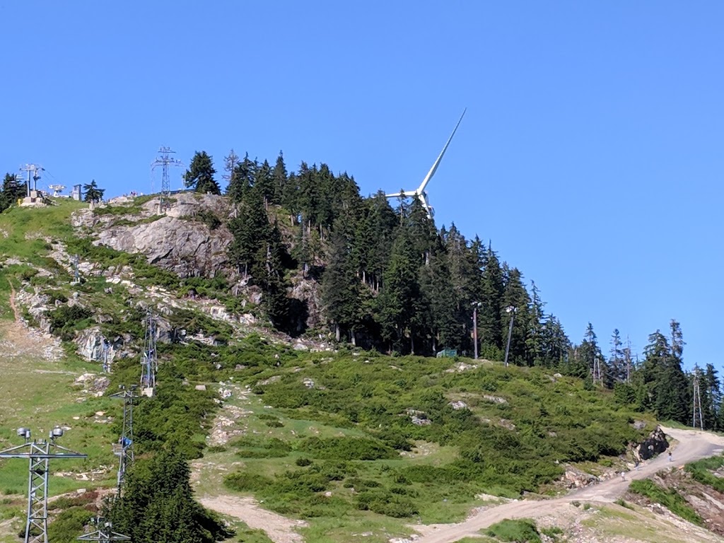 Grouse Mountain Grizzly Bear Habitat | North Vancouver, BC V7R, Canada | Phone: (604) 980-9311