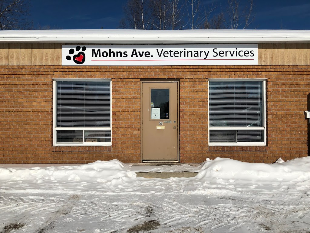 Mohns Avenue Veterinary Services | 58 Mohns Ave, Petawawa, ON K8H 2G9, Canada | Phone: (613) 687-6901