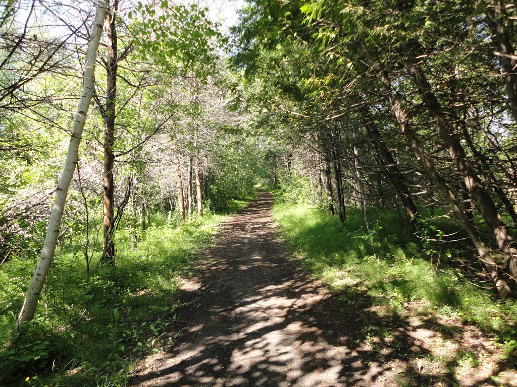 Lime Kiln Trail | Moodie Dr, Nepean, ON K2R 1H3, Canada