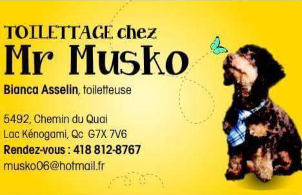 Toilettage Chez Mr Musko | 2196 Rue Saint-Dominique local 4, Jonquière, QC G7X 6M3, Canada | Phone: (418) 812-8767