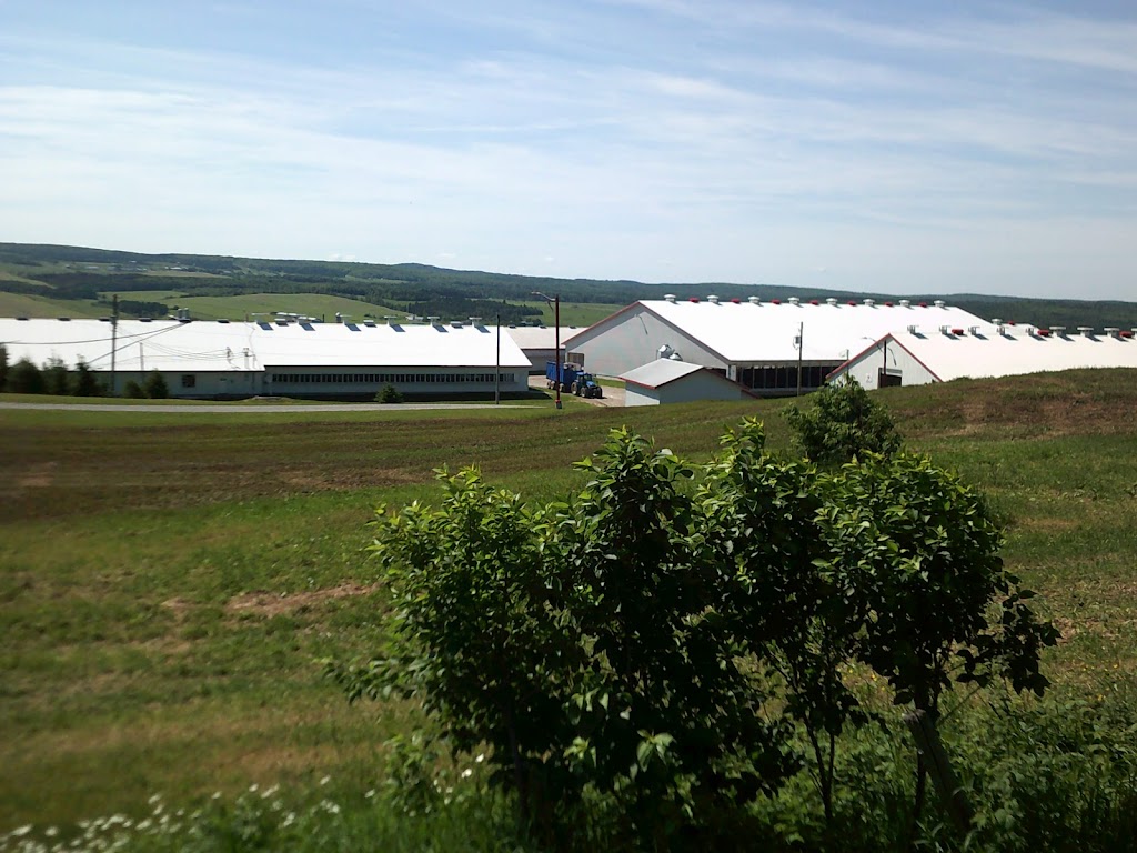 Ferme Garonne Inc | 236 4e Rang, Saint-Odilon, QC G0S 3A0, Canada | Phone: (418) 464-4751