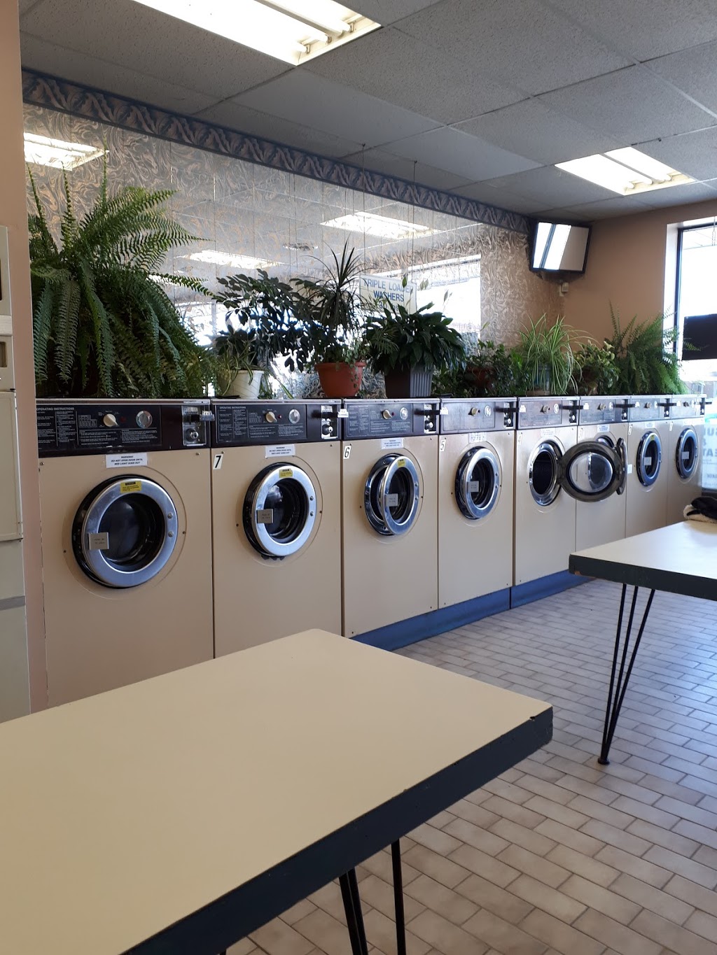 Colonial Cleaners & Laundromat | 230 Main St W, Port Colborne, ON L3K 3V5, Canada | Phone: (905) 834-5151