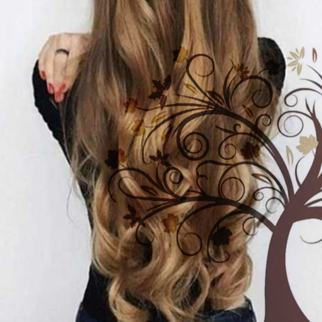 Hairtree Therapy By: Erin Erickson | 1355 North St, Dresden, ON N0P 1M0, Canada | Phone: (519) 809-6814