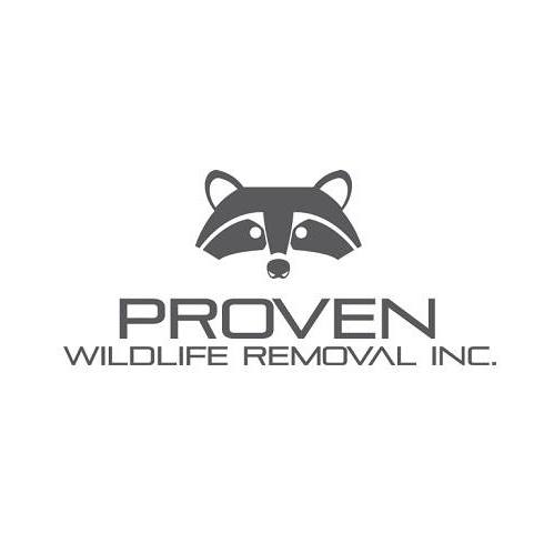 Proven Wildlife Removal | 371 King St Unit 5, Barrie, ON L4N 6B5, Canada | Phone: (705) 985-2345