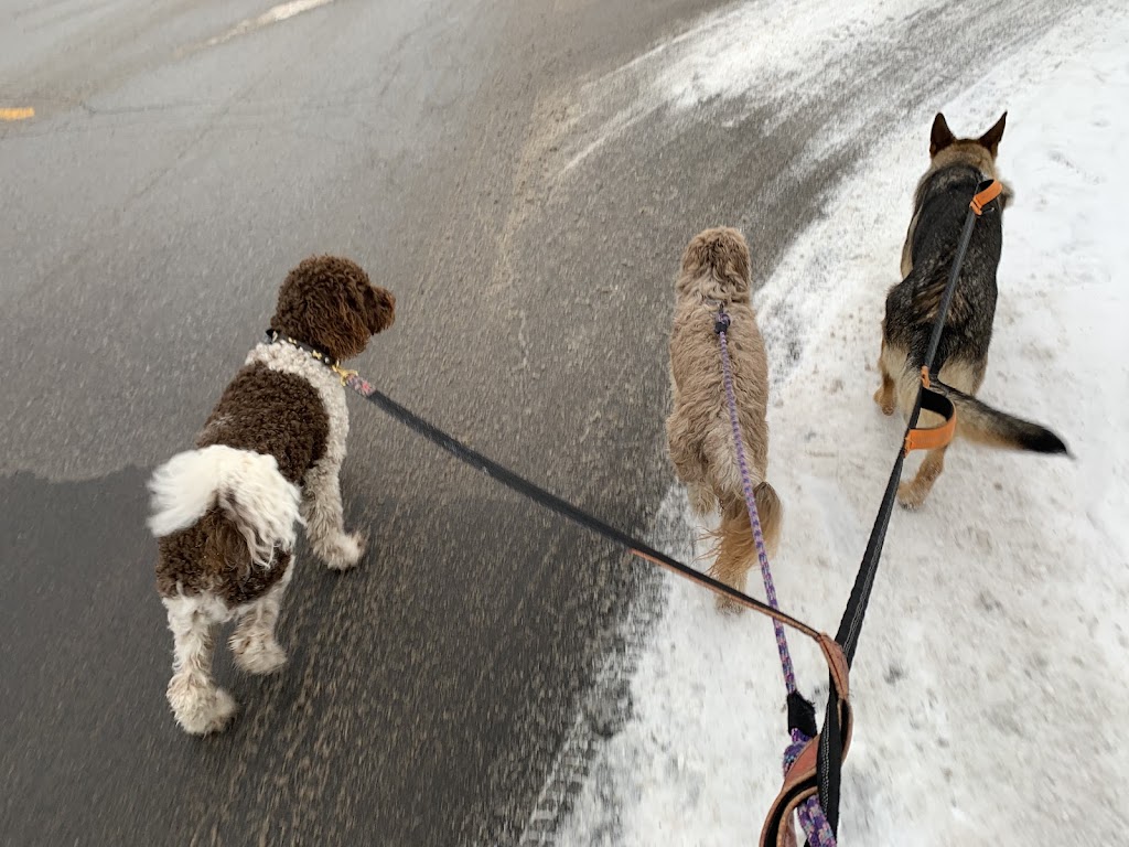 Promenade de chiens Saint-Basile | 1540 Bd du Millénaire, Saint-Basile-le-Grand, QC J3N 1X3, Canada | Phone: (450) 881-2150