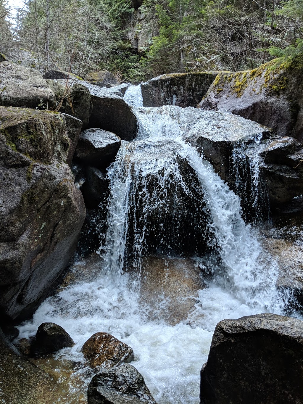 Stawamus Chief Trail | Garibaldi Highlands, BC V0N 1T0, Canada