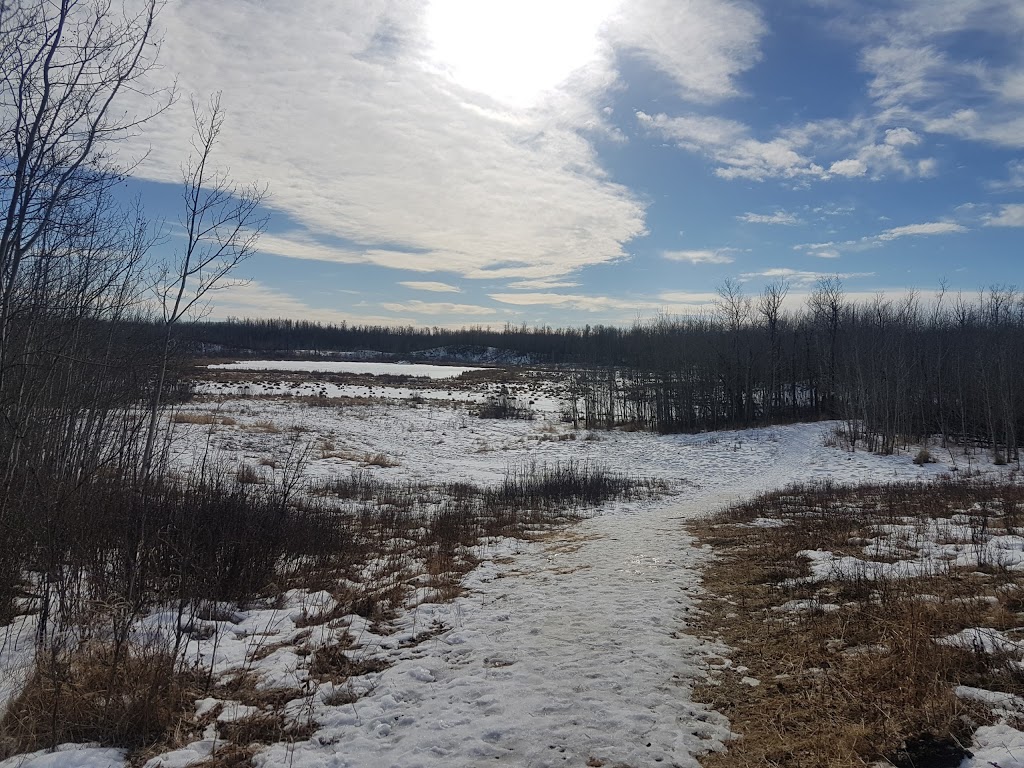 Shirley Lake Trailhead # 3 | Improvement District No. 13, AB T8G 2A6, Canada | Phone: (780) 922-5790