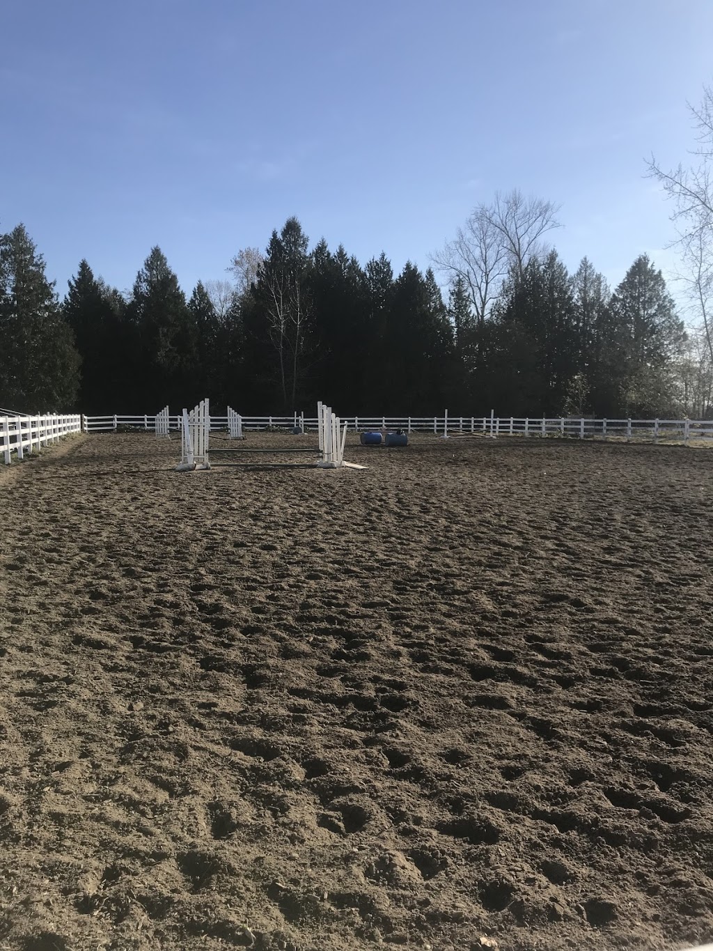 Westcott Equestrian | 1484 216 St, Langley Twp, BC V2Z 1R2, Canada | Phone: (778) 999-3266