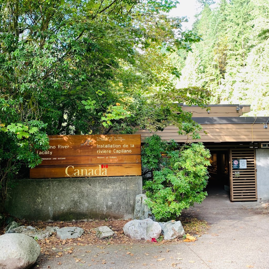 Capilano River Hatchery | 4500 Capilano Park Rd, North Vancouver, BC V7R 4L3, Canada | Phone: (604) 666-1790