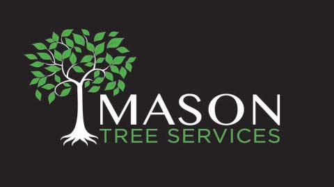 Mason Tree Services | 39 Margaret Ave N, Waterloo, ON N2J 3P3, Canada | Phone: (519) 503-1584