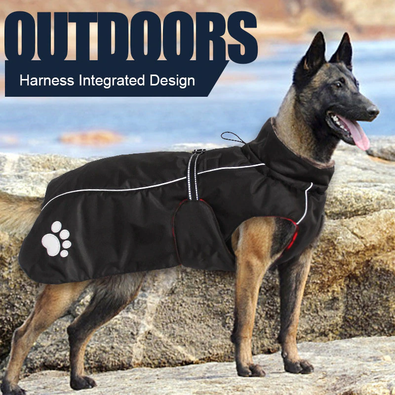 Doggy Clothing | Habgood St, White Rock, BC V4B 4W3, Canada | Phone: (778) 868-8654