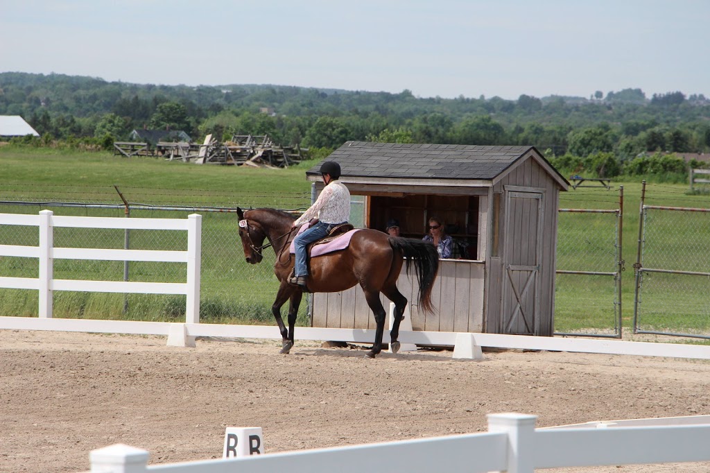 Riverview Stables | 8115 Wellington County Rd 18, Fergus, ON N1M 2W5, Canada | Phone: (519) 803-9413