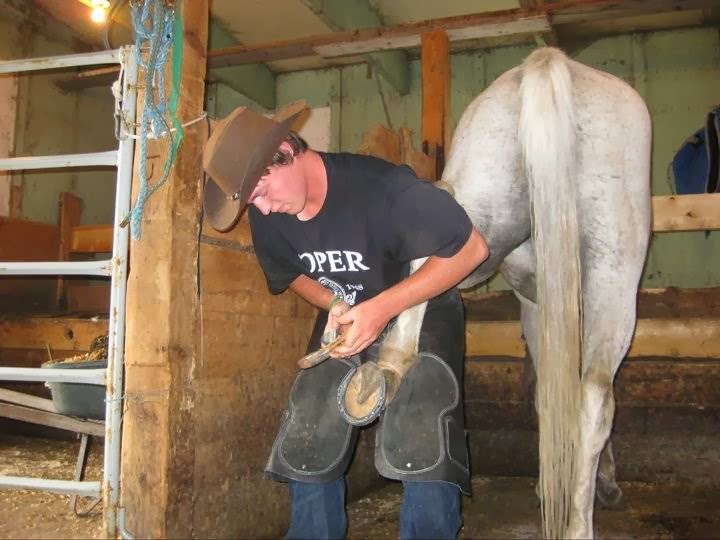 McCaffrey Farrier Service | Main st, Lombardy, ON K0G 1L0, Canada | Phone: (613) 430-4881