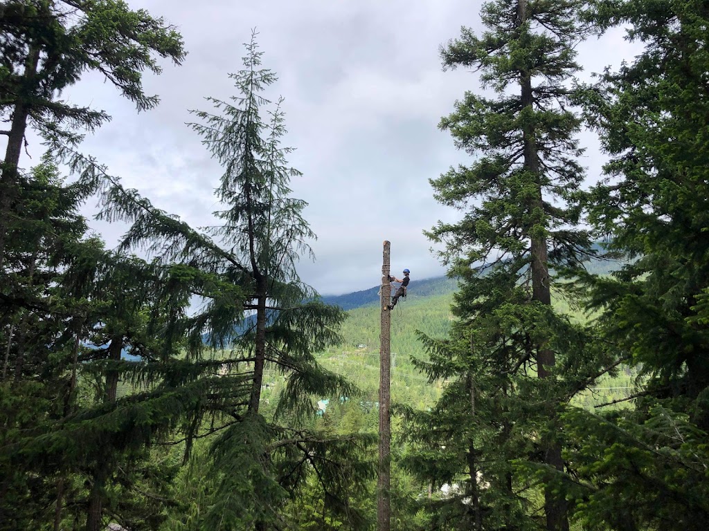 Vertigo Trees | 40321 Skyline Dr, Squamish, BC V0N 1T0, Canada | Phone: (604) 848-8766