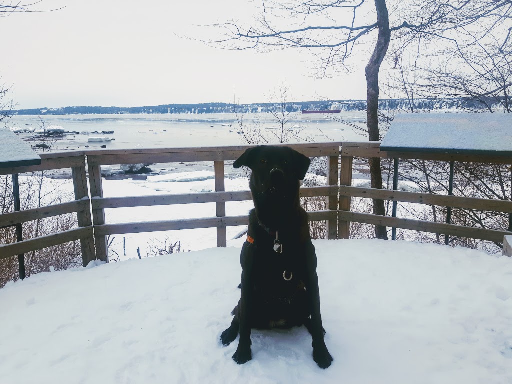 Parc des Hauts-Fonds | 116 Chemin de la Batture, Saint-Augustin-de-Desmaures, QC G3A 0H6, Canada