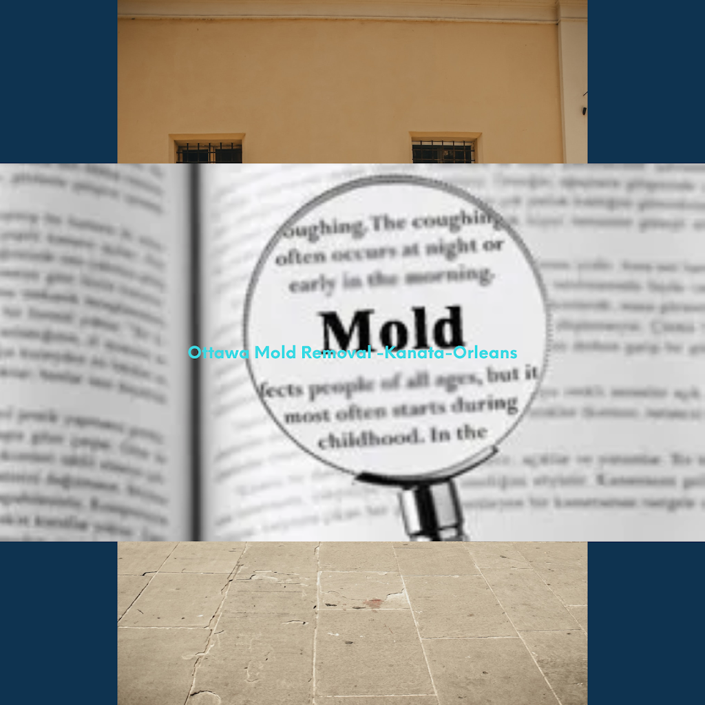 Ottawa Mold Removal -Kanata-Orleans | 1913 Ogilvie Rd #1913, Ottawa, ON K1J 7P4, Canada | Phone: (343) 297-1733