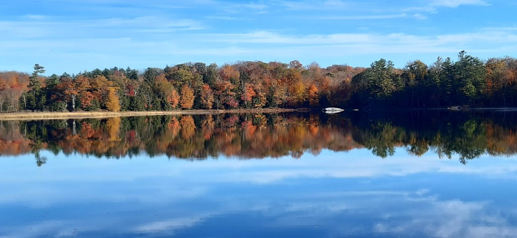 First Lake Beach and Boat Launch | First Lake Beach and Boat Launch, 95 Blackstone Crane Lake Rd, Parry Sound, ON P2A 2W8, Canada | Phone: (705) 732-4300