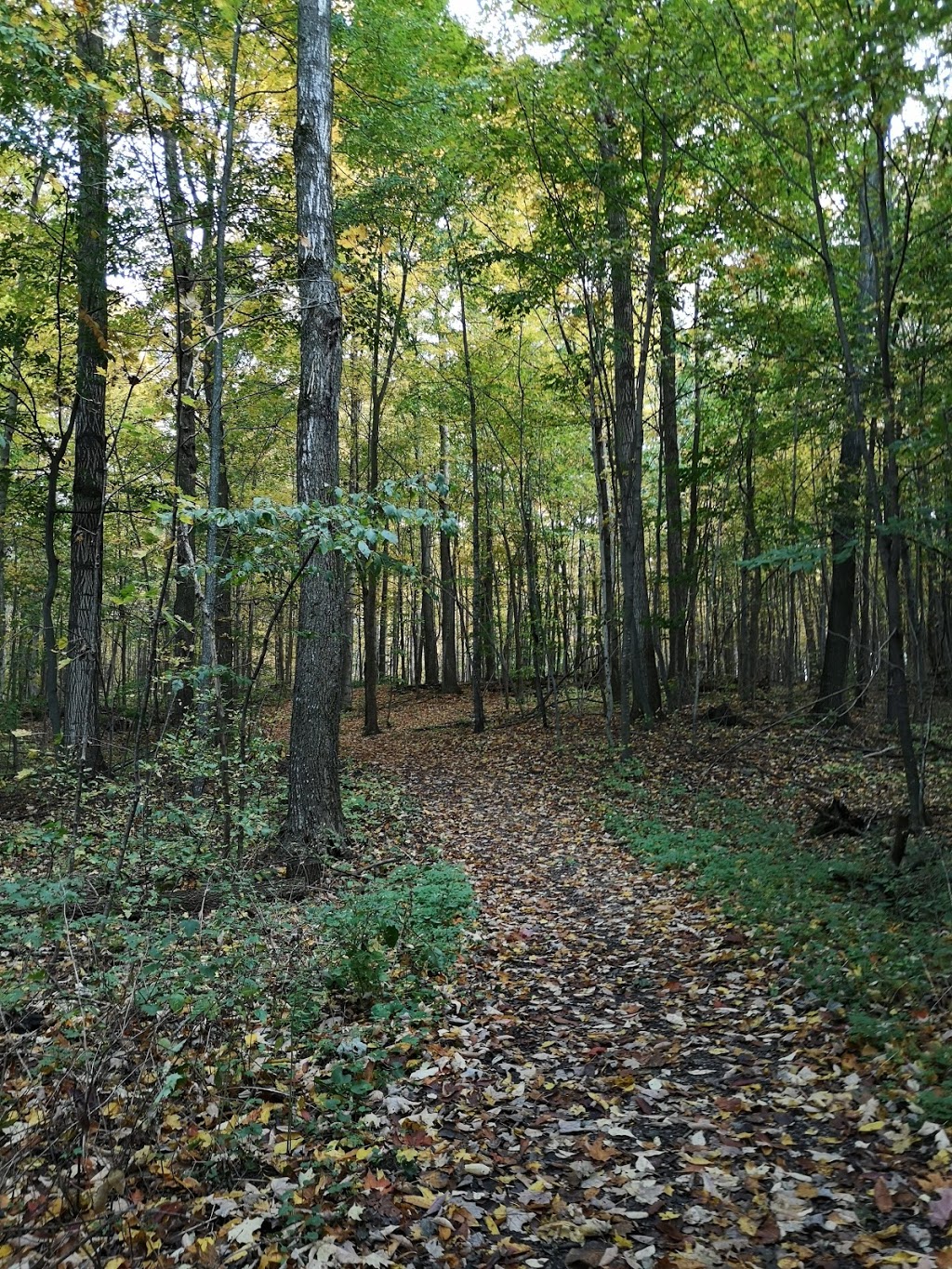 West-side Trails | 820 Columbia Forest Ct, Waterloo, ON N2V 2M6, Canada