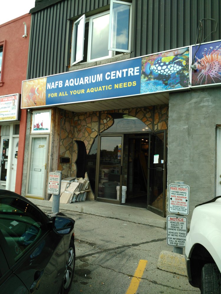 NAFB Aquarium Centre | 2260 Kingston Rd, Scarborough, ON M1N 1T9, Canada | Phone: (416) 267-7252
