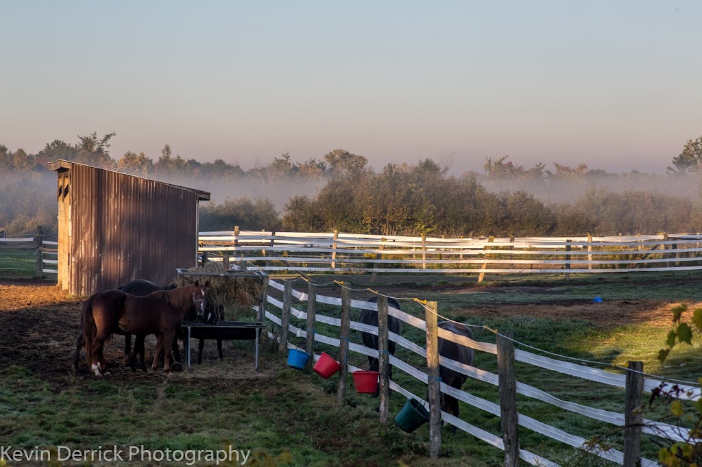 Inukshuk Farm & Equestrian Centre | 1940 Birch Island Rd, Lakefield, ON K0L 2H0, Canada | Phone: (705) 875-2899