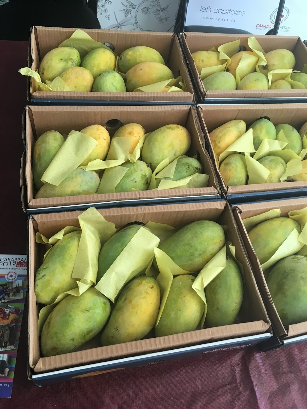 Pakistani Mangoes | 1212 Dundas St W, Mississauga, ON L5C 1E2, Canada | Phone: (647) 854-6665