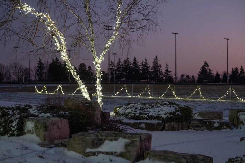 We Install Christmas Lights | 300 Marconi Gate #1002, London, ON N5V 4T2, Canada | Phone: (519) 266-6796