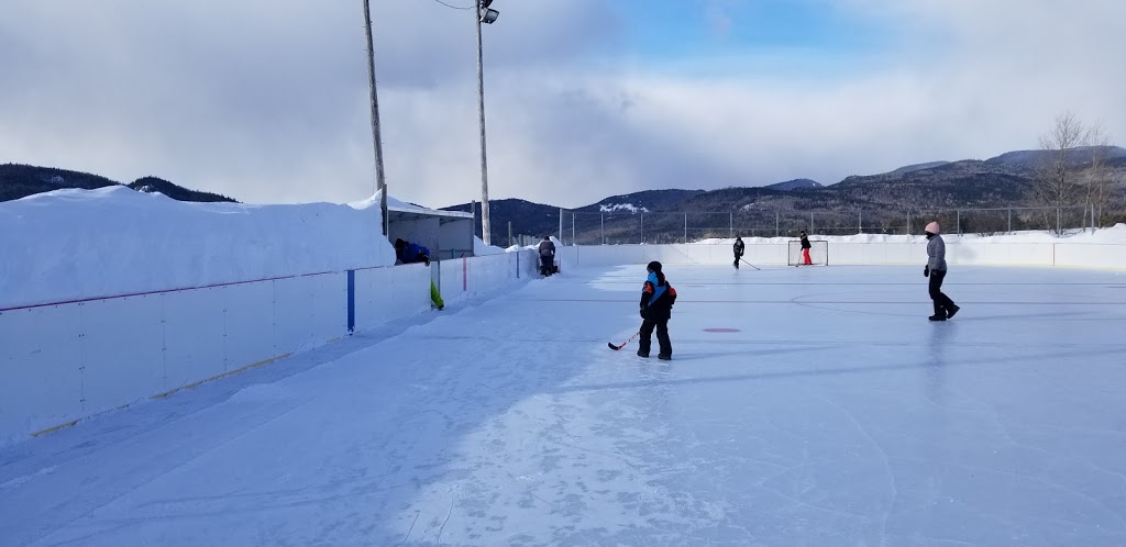 Patinoire municipale extérieure | 2387 Route du Fleuve, Les Éboulements, QC G0A 2M0, Canada | Phone: (418) 635-1026