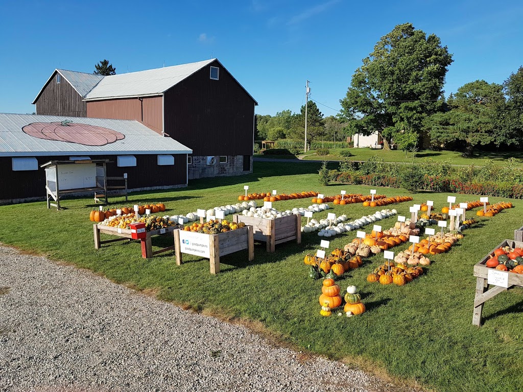 Good Family Pumpkins | 909 Bridge St E, Waterloo, ON N2J 4G8, Canada | Phone: (519) 635-6653