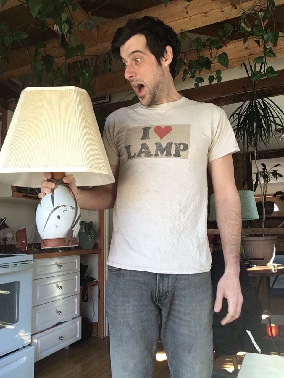 Lighten Up Lamp Repair | 2526 Elm St, Halifax, NS B3L 2Y4, Canada | Phone: (902) 233-3725