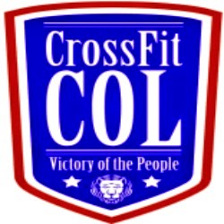 CrossFit COL | 5540 Mainway, Burlington, ON L7L 6A4, Canada | Phone: (289) 795-8482