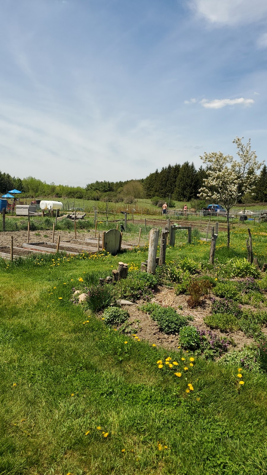 Albion Hills Community Farm | 16555 Humber Station Rd, Caledon East, ON L7E 3A5, Canada | Phone: (647) 981-6281