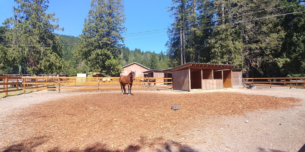 Cedar Vista Stables | rd 3x8, 4060 Happy Valley Rd, Victoria, BC V9C 3X8, Canada | Phone: (250) 391-1484