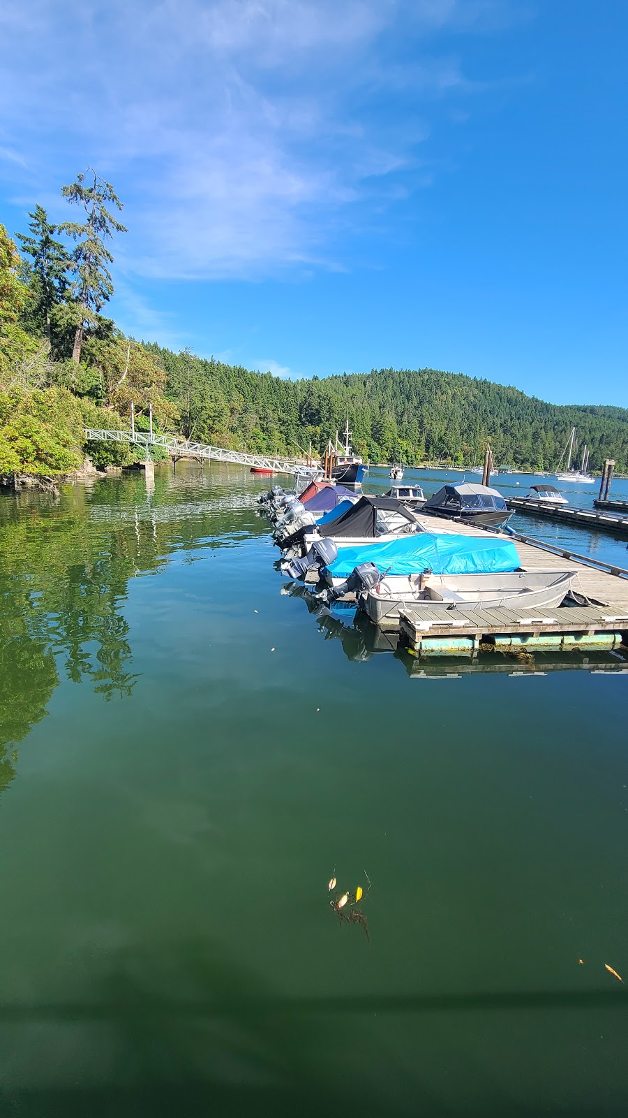 Montague Harbour Marina | 3451 Montague Park Rd, Galiano Island, BC V0N 1P0, Canada | Phone: (250) 539-5733