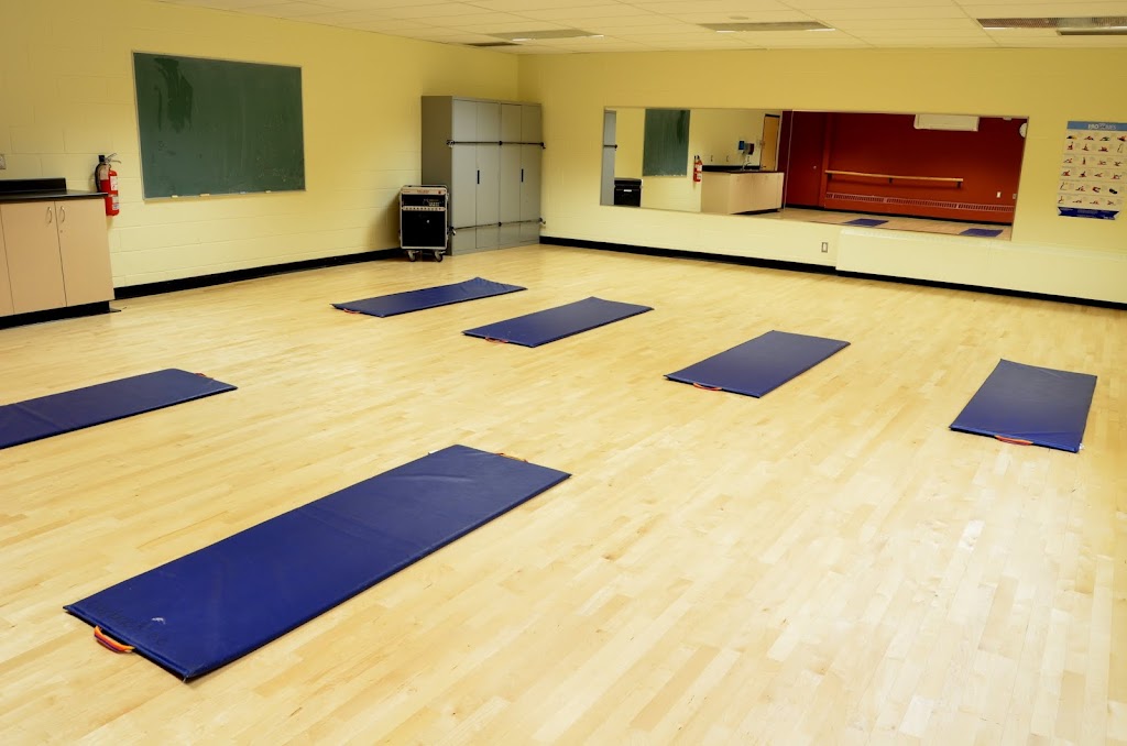 Overbrook Community Centre | 33 Quill St, Ottawa, ON K1K 4E7, Canada | Phone: (613) 742-5147