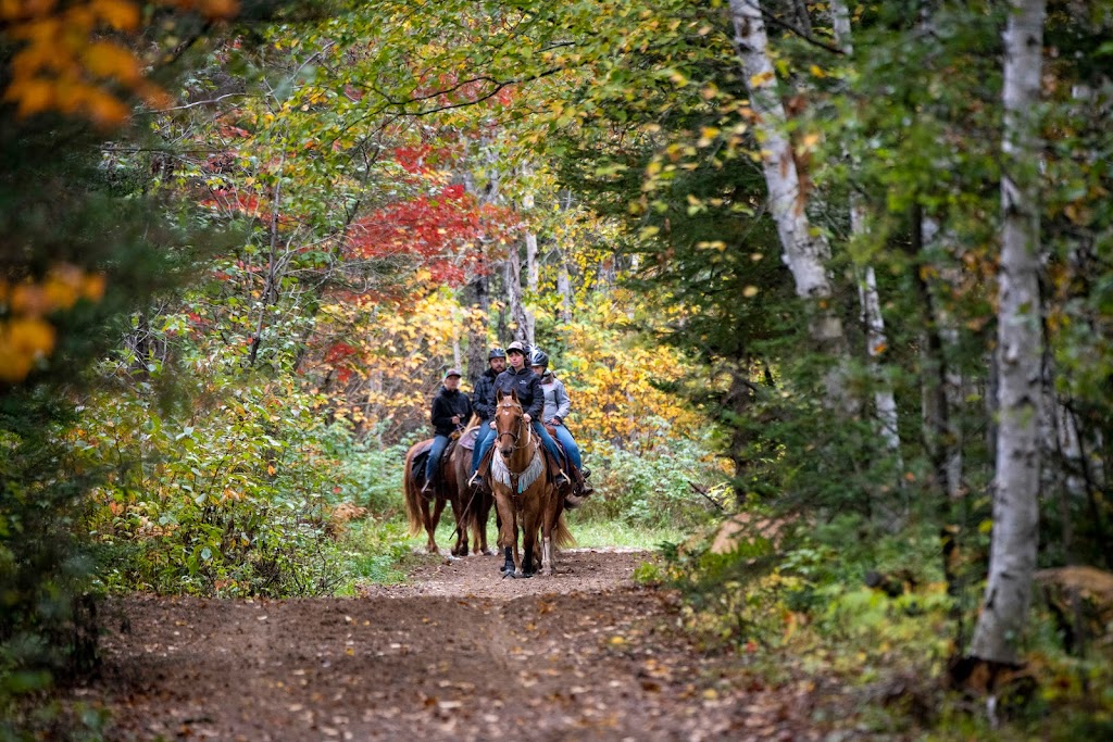 Ranch Le Soleil Le Vent | 243 route 172 Nord, Sacré-Coeur, QC G0T 1Y0, Canada | Phone: (418) 236-4853