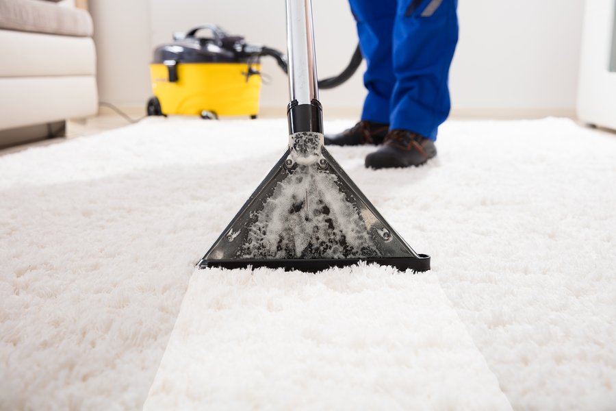 PRO Carpet Cleaning Abbotsford | Chelsea Park Gardens, 33710 Marshall Rd #313, Abbotsford, BC V2S 1L3, Canada | Phone: (604) 373-4469