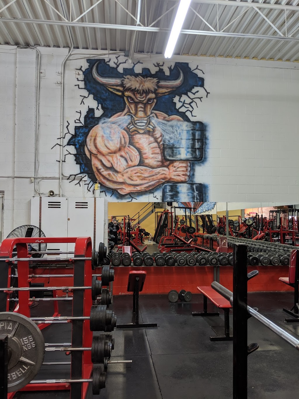 Bull Pen Gym | 10121 159 St NW, Edmonton, AB T5P 3A1, Canada | Phone: (780) 484-8256