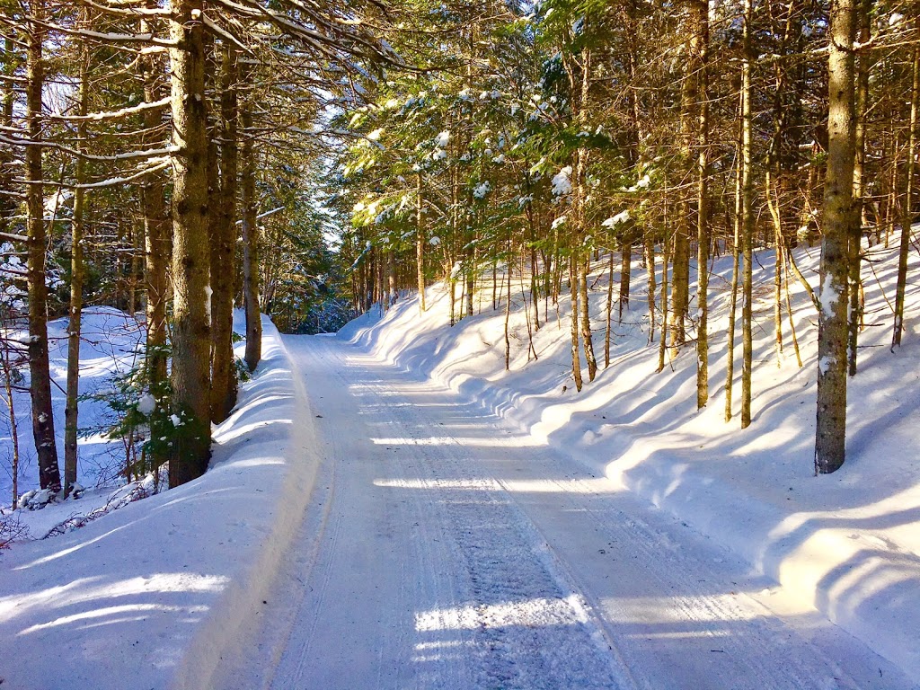 Gîte des Belvédères | 8 Chemin des Belvédères, Stoneham-et-Tewkesbury, QC G3C 2G4, Canada | Phone: (418) 848-1048