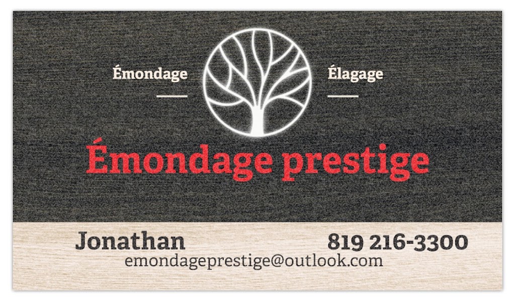 Emondage prestige | 1395 Chem. du 1er Rang de Doncaster, Sainte-Lucie-des-Laurentides, QC J0T 2J0, Canada | Phone: (819) 216-3300