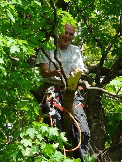 Timberjack Tree Service | 158074 7th Line, Meaford, ON N4L 1W5, Canada | Phone: (705) 716-5000