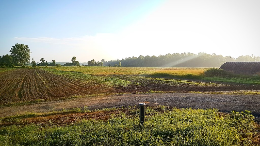 McMillan Farms Niagara | 33461 Case Rd, Wainfleet, ON N0A 1K0, Canada | Phone: (905) 325-0061