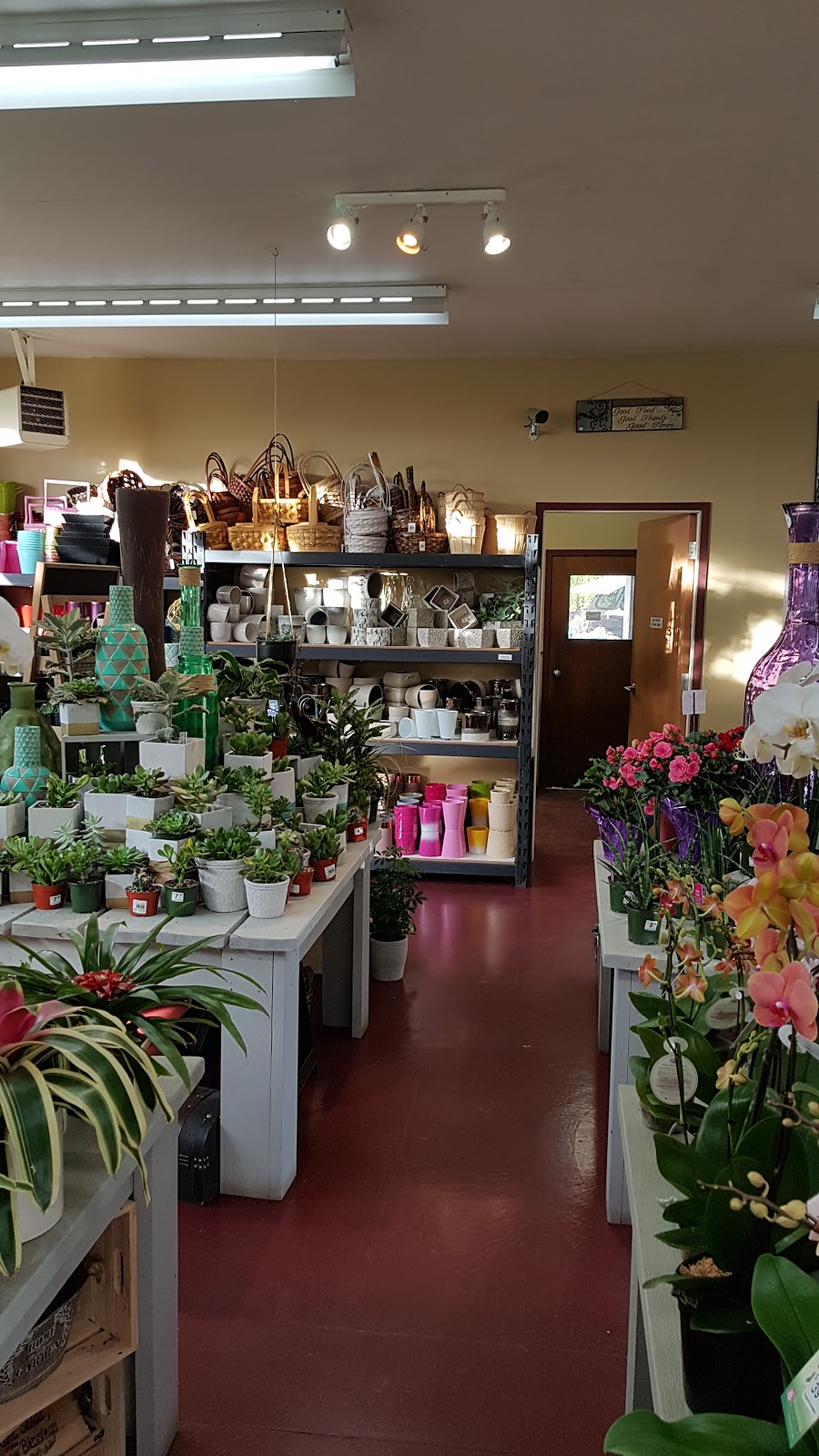 Colyns Nursery & Garden Centre | 4860 Beaver Creek Rd, Port Alberni, BC V9Y 7C9, Canada | Phone: (250) 724-2551