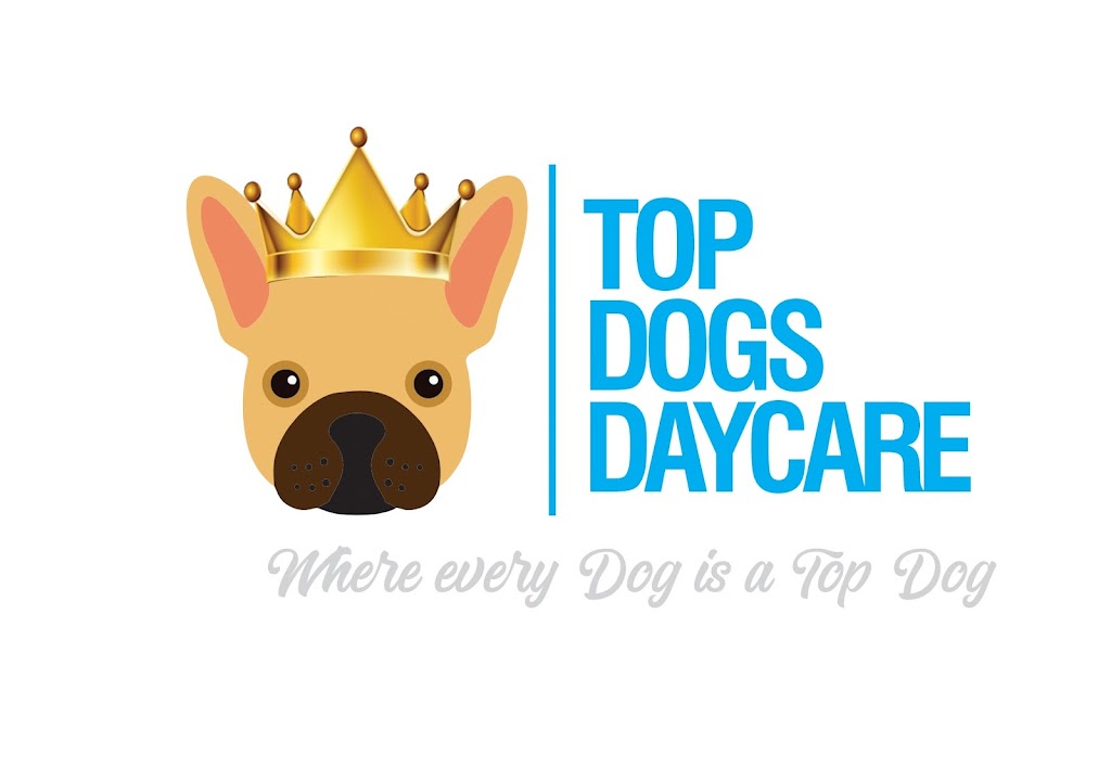 Top Dogs Daycare | 50 Gerry Dr, Saint John, NB E2H 2M5, Canada | Phone: (506) 271-2652