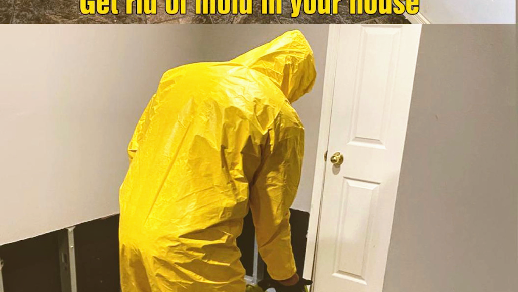 Caspi Service Group | Mold Removal | Water damage Repair | Sewage backup | Sewage Cleaning | Drain Cleaning | Sewage | 122 Charing Cross St #3, Brantford, ON N3R 2J1, Canada | Phone: (905) 379-1555