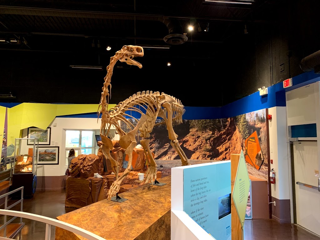 Fundy Geological Museum | 162 Two Islands Rd, Parrsboro, NS B0M 1S0, Canada | Phone: (902) 254-3814