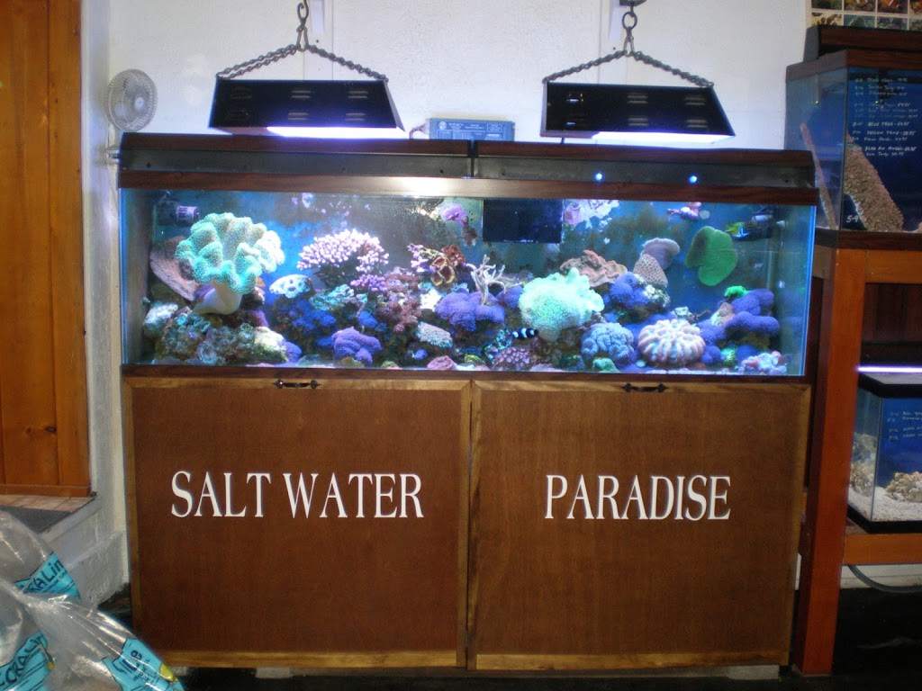 Salt Water Paradise | 54 Main St, Tonawanda, NY 14150, USA | Phone: (716) 743-0933